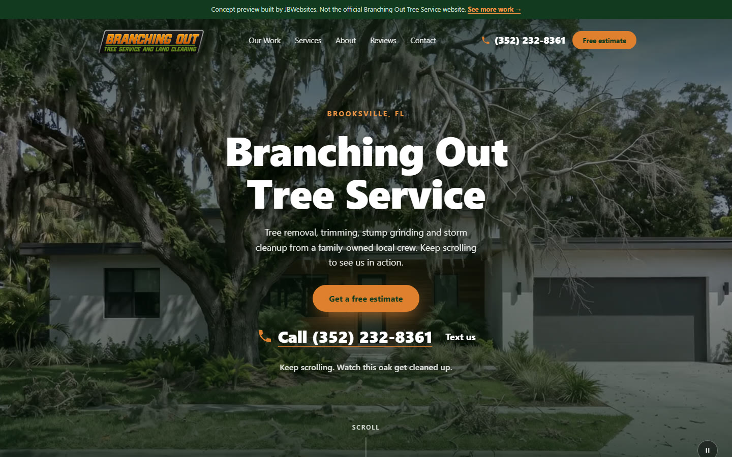 Homepage of the Branching Out Tree Service concept: a modern Florida home behind an overgrown, moss-covered oak under the company name