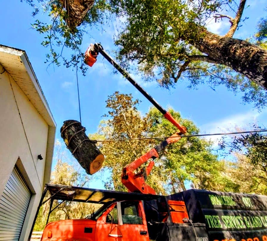 An orange lift lowering a cut log section beside a house