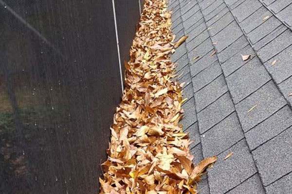 Gutter packed with leaves along a shingle roof