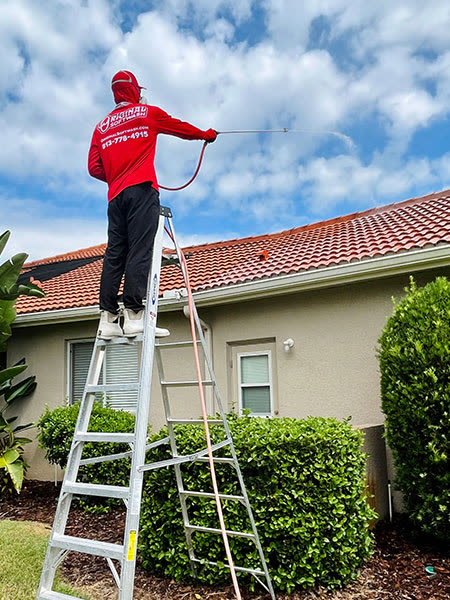 Original Softwash tech on a ladder soft washing a tile roof